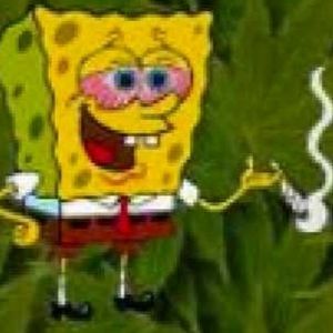 Meet your Posher, R.s.